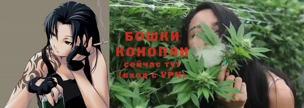 винт Фёдоровский
