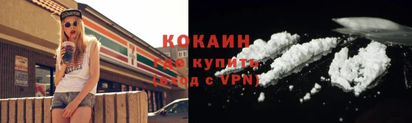 винт Фёдоровский