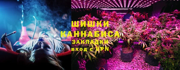 винт Фёдоровский
