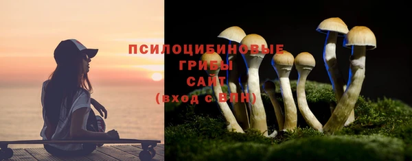 бошки Нестеровская